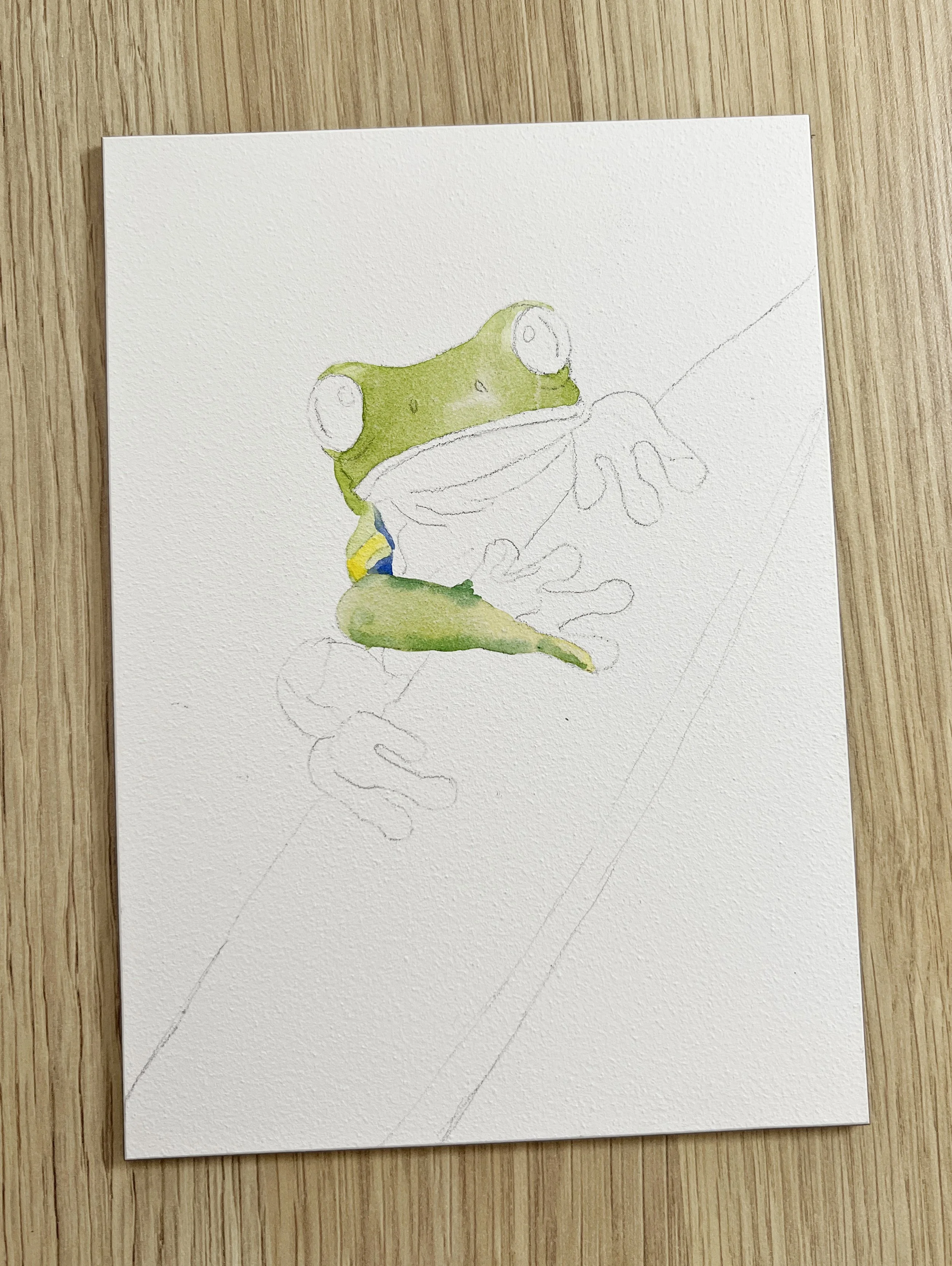 Watercolour on Ampersand Aquabord. How I painted this bright frog